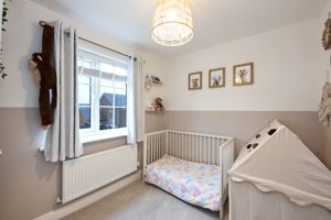 Photo 12- click for photo gallery